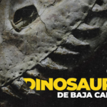 Dinosaurios de Baja California