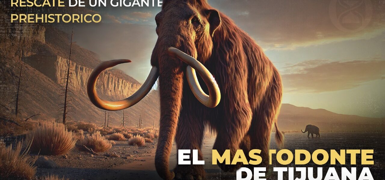 mastodonte de Tijuana